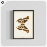 1-33_Moths-and-Butterflies-of-the-United-States_blk-crop