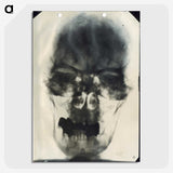 1-33_National-Library-of-Medicine_picture-crop