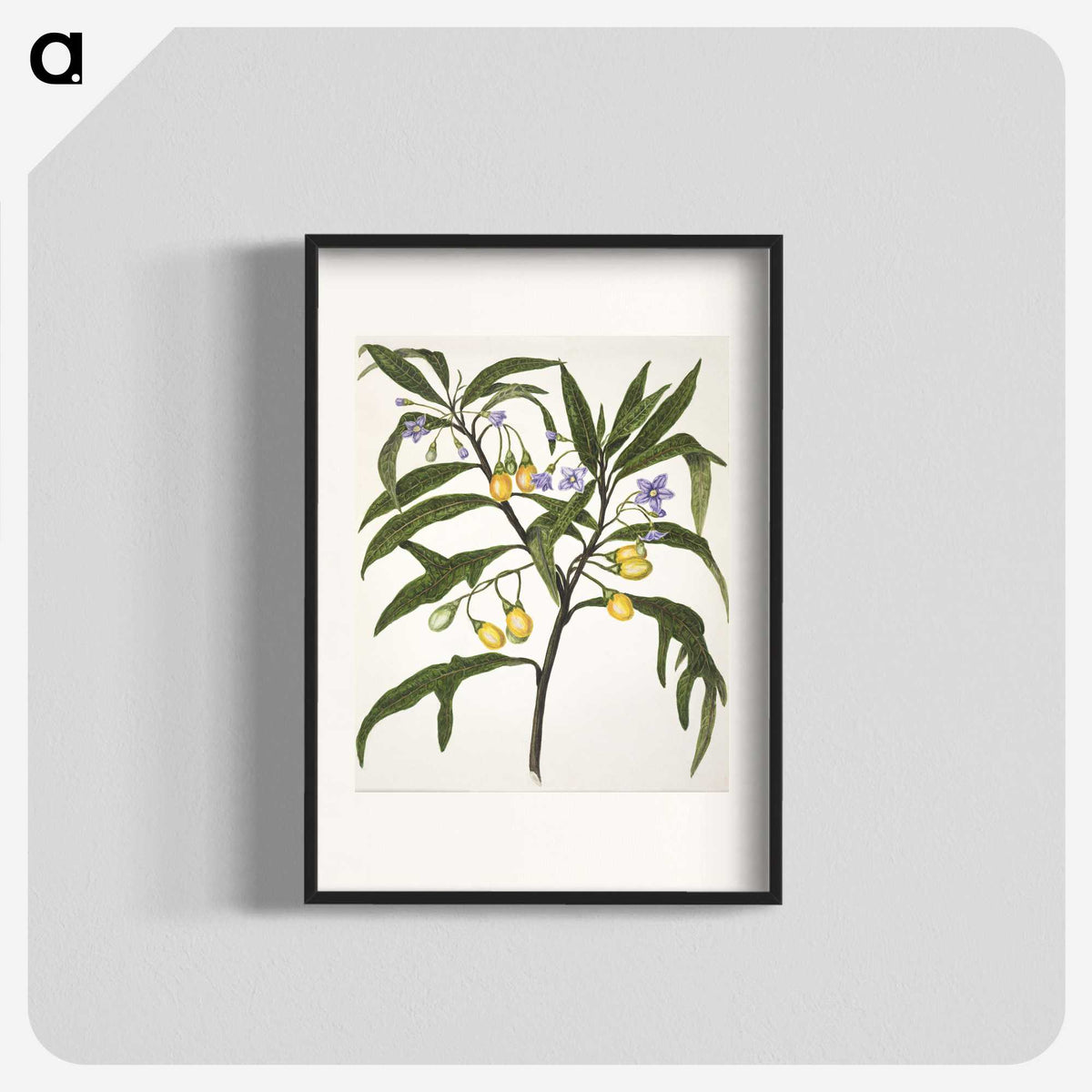 1-33_Native-Flowering-Plants-of-New-Zealand_blk