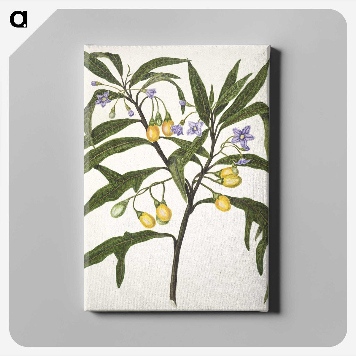 1-33_Native-Flowering-Plants-of-New-Zealand_canvas