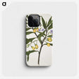 1-33_Native-Flowering-Plants-of-New-Zealand_phone