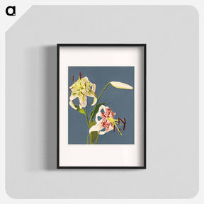 アートポスター-Lilies - 小川 一正 Poster.
