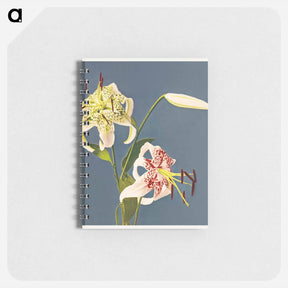 アートメモ帳-Lilies - 小川 一正 Memo.