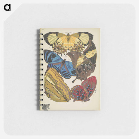 アートメモ帳-Vintage Butterflies
 - パピヨン Memo.