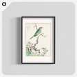 アートポスター-Ruby Throat and Wild Camomile
 - 鳥類図鑑 Poster.