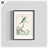 アートポスター-Ruby Throat and Wild Camomile
 - 鳥類図鑑 Poster.