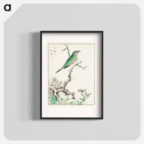 アートポスター-Ruby Throat and Wild Camomile
 - 鳥類図鑑 Poster.