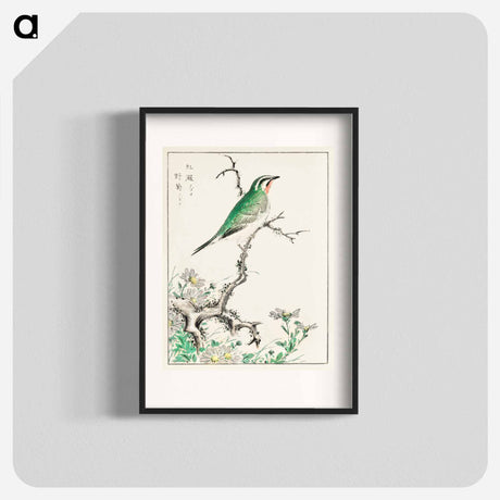 アートポスター-Ruby Throat and Wild Camomile
 - 鳥類図鑑 Poster.