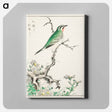 アートパネル-Ruby Throat and Wild Camomile
 - 鳥類図鑑 Canvas.