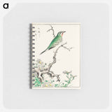 アートメモ帳-Ruby Throat and Wild Camomile
 - 鳥類図鑑 Memo.
