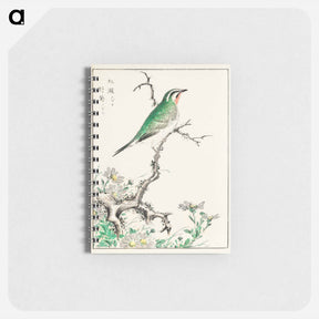 アートメモ帳-Ruby Throat and Wild Camomile
 - 鳥類図鑑 Memo.