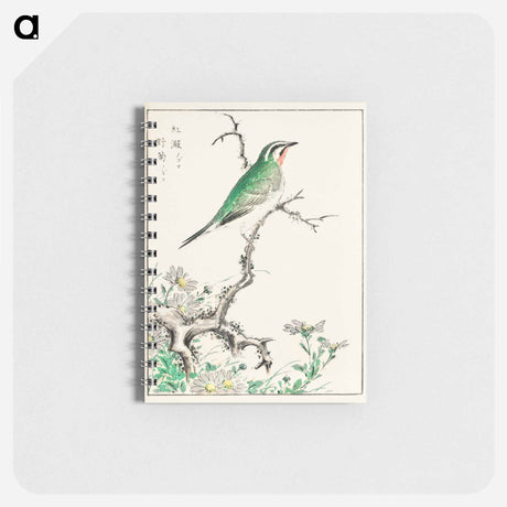 アートメモ帳-Ruby Throat and Wild Camomile
 - 鳥類図鑑 Memo.