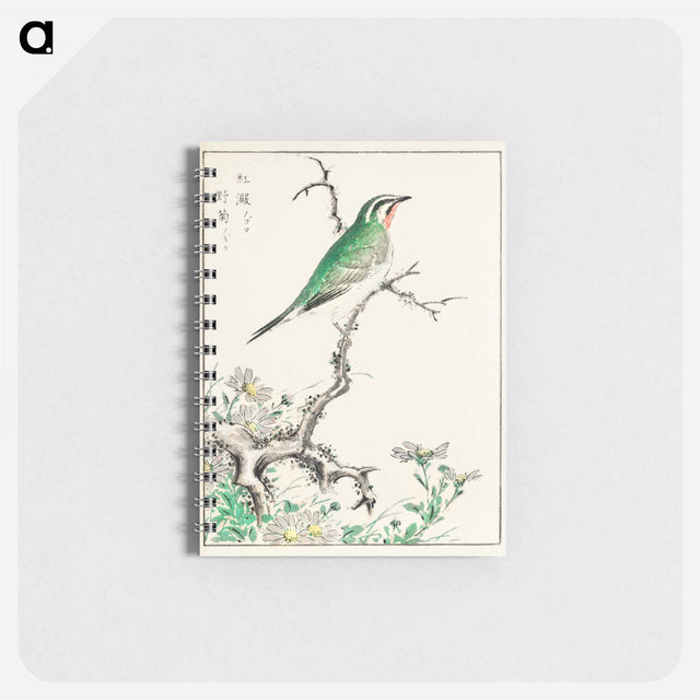 アートメモ帳-Ruby Throat and Wild Camomile
 - 鳥類図鑑 Memo.