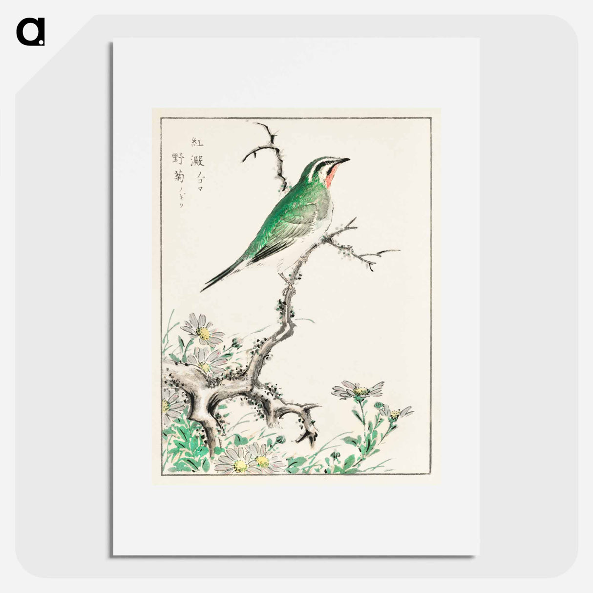 アートポスター-Ruby Throat and Wild Camomile
 - 鳥類図鑑 Poster.