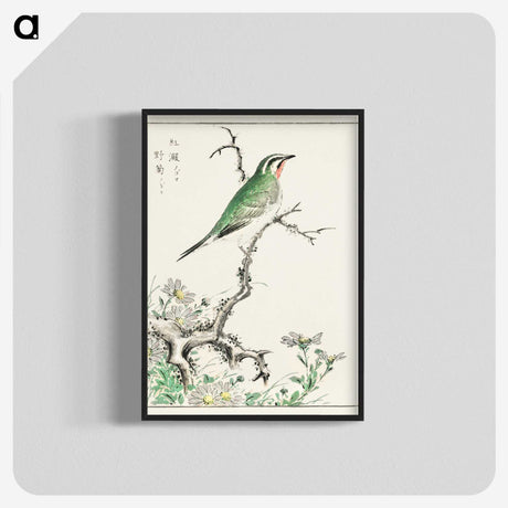 1-33_Pictorial-Monograph-of-Birds_blk-crop