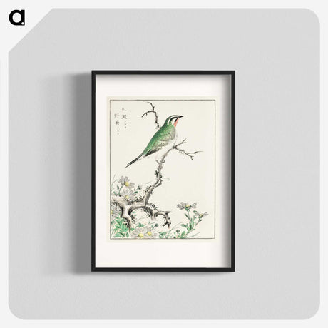 1-33_Pictorial-Monograph-of-Birds_blk