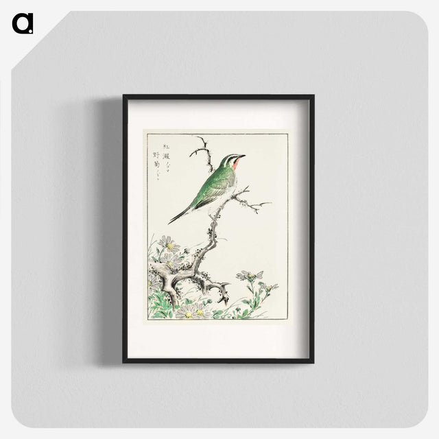1-33_Pictorial-Monograph-of-Birds_blk