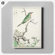 1-33_Pictorial-Monograph-of-Birds_canvas