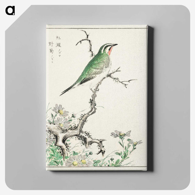 1-33_Pictorial-Monograph-of-Birds_canvas