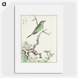 1-33_Pictorial-Monograph-of-Birds_picture