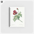 1-33_Pierre-Joseph-Redoute_memo