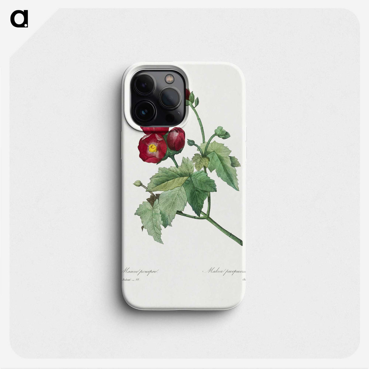 1-33_Pierre-Joseph-Redoute_phone