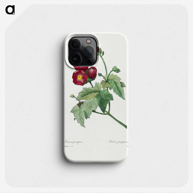 1-33_Pierre-Joseph-Redoute_phone