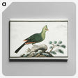 1-33_Robert-Jacob-Gordon_canvas