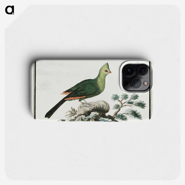 1-33_Robert-Jacob-Gordon_phone