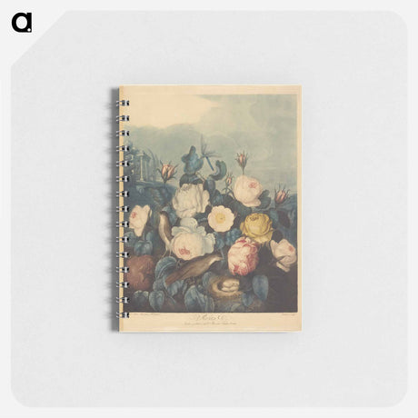 アートメモ帳-Roses
 - ロバート ジョン ソーントン Memo.