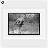 1-33_Russell-Lee_picture