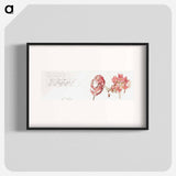 Pink Spotted Lilies and Maple Seeds - Samuel Coleman Poster.