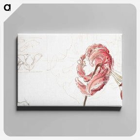 アートパネル-Pink Spotted Lilies and Maple Seeds - サミュエル コールマン Canvas.