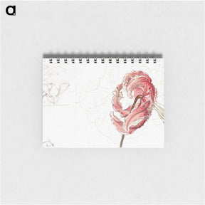 アートメモ帳-Pink Spotted Lilies and Maple Seeds - サミュエル コールマン Memo.