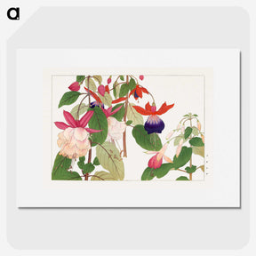 1-33_Seiyo-Soka-Zufu_picture