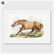 1-33_Sporting-Sketches_picture