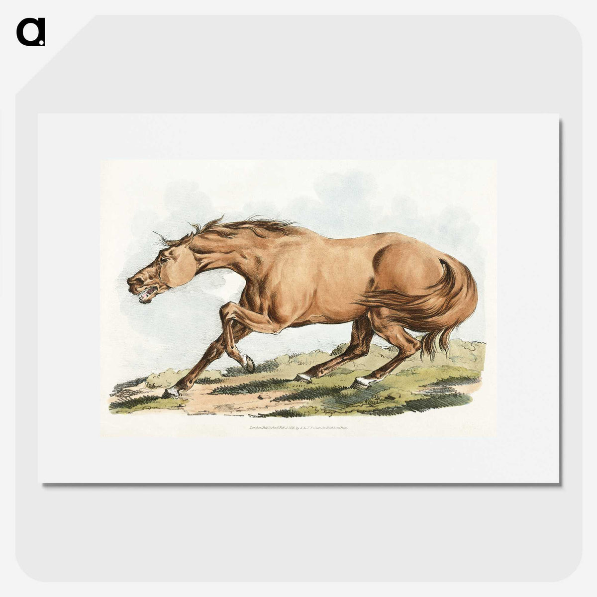 1-33_Sporting-Sketches_picture