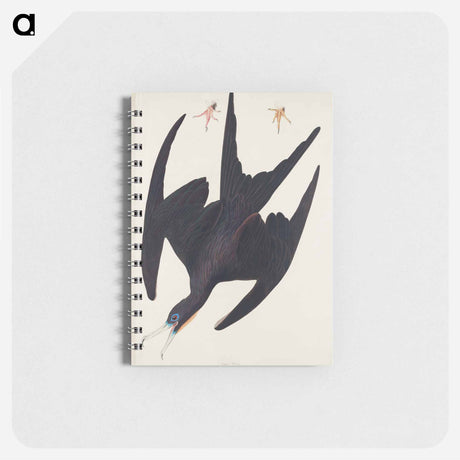 アートメモ帳-Frigate Pelican from Birds of America
 - アメリカの鳥たち Memo.