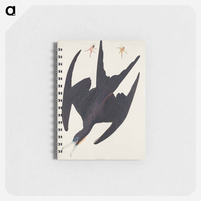 アートメモ帳-Frigate Pelican from Birds of America
 - アメリカの鳥たち Memo.