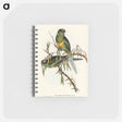 アートメモ帳-Barnard's Parakeet
 - オーストラリアの鳥 Memo.