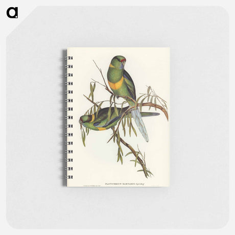 アートメモ帳-Barnard's Parakeet
 - オーストラリアの鳥 Memo.