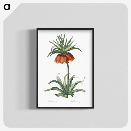 1-33_The-Lilies_blk-crop