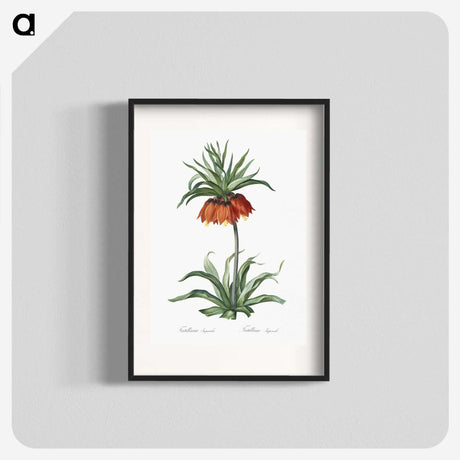1-33_The-Lilies_blk