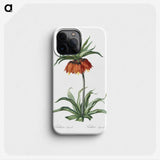 1-33_The-Lilies_phone