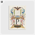 アートポストカード-Guide for Constructing the Letter P from Mira Calligraphiae Monumenta
 - 書道のお手本 Postcard.