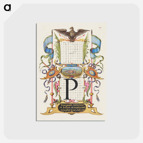 アートポストカード-Guide for Constructing the Letter P from Mira Calligraphiae Monumenta
 - 書道のお手本 Postcard.