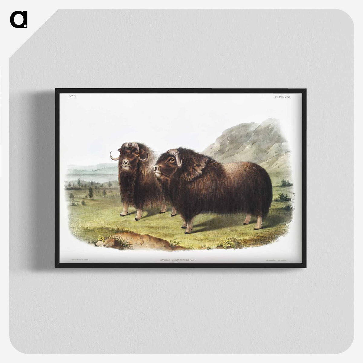 1-33_The-Viviparous-Quadrupeds_blk-crop