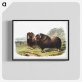 1-33_The-Viviparous-Quadrupeds_blk-crop