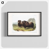 1-33_The-Viviparous-Quadrupeds_blk