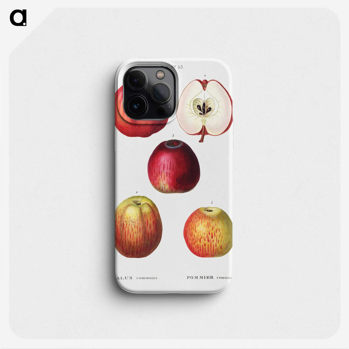 1-33_Treatise-on-Trees-and-Shrubs_phone